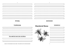 Biene-Faltbuch-vierseitig-2.pdf